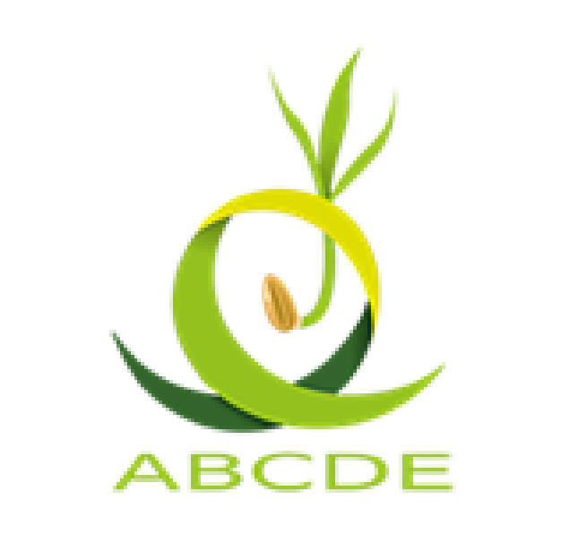 logo ABCDE